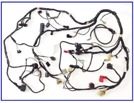 Kawasaki ZX9R Wiring Loom
